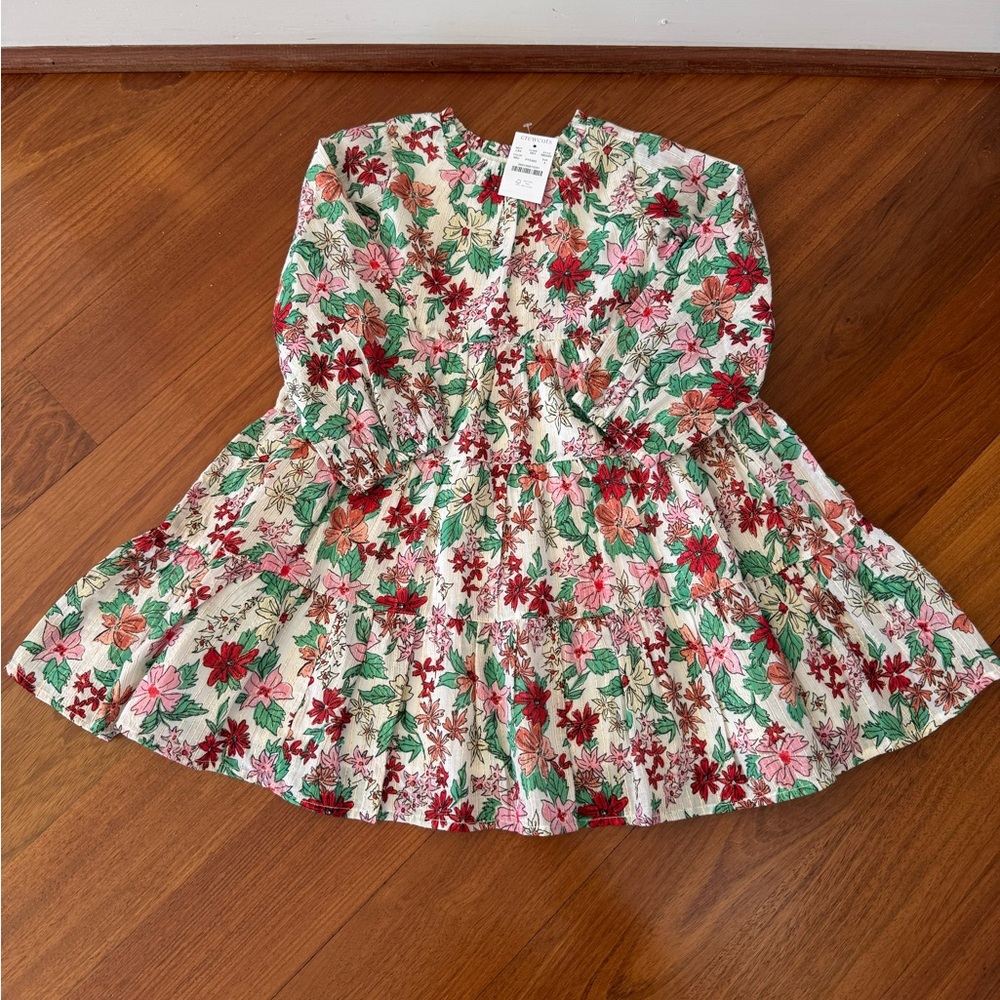 NWT J.Crew Crewcuts Long-sleeve floral holiday dress, size 4